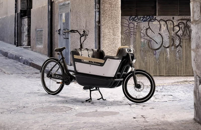 Royal 2W Premium - elektrische tweewieler bakfiets